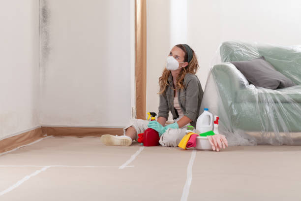 Trusted Black Mold Removal service in Mount Joy, PA - WQB Mold Removal